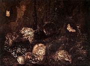 Otto Marseus van Schrieck